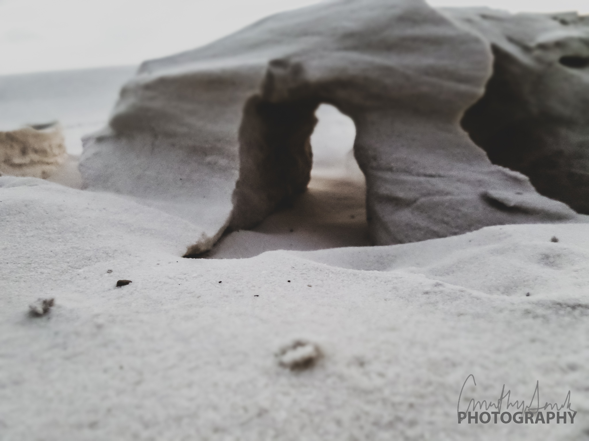 White Sands Sculpture